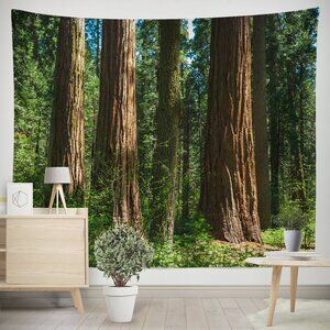 Sequoia Forest Wall Tapestry 68x80 Inches HUGE Nature Decor